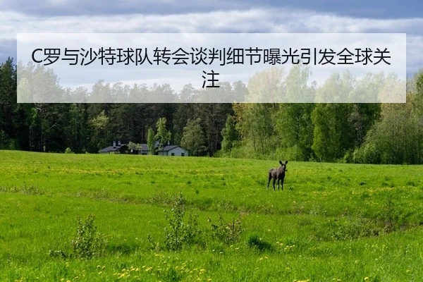 luo-yu-sha-te-qiu-dui-zhuan-hui-tan-pan-xi-jie-bao-guang-yin-fa-quan-qiu-guan-zhu-2-506.jpg